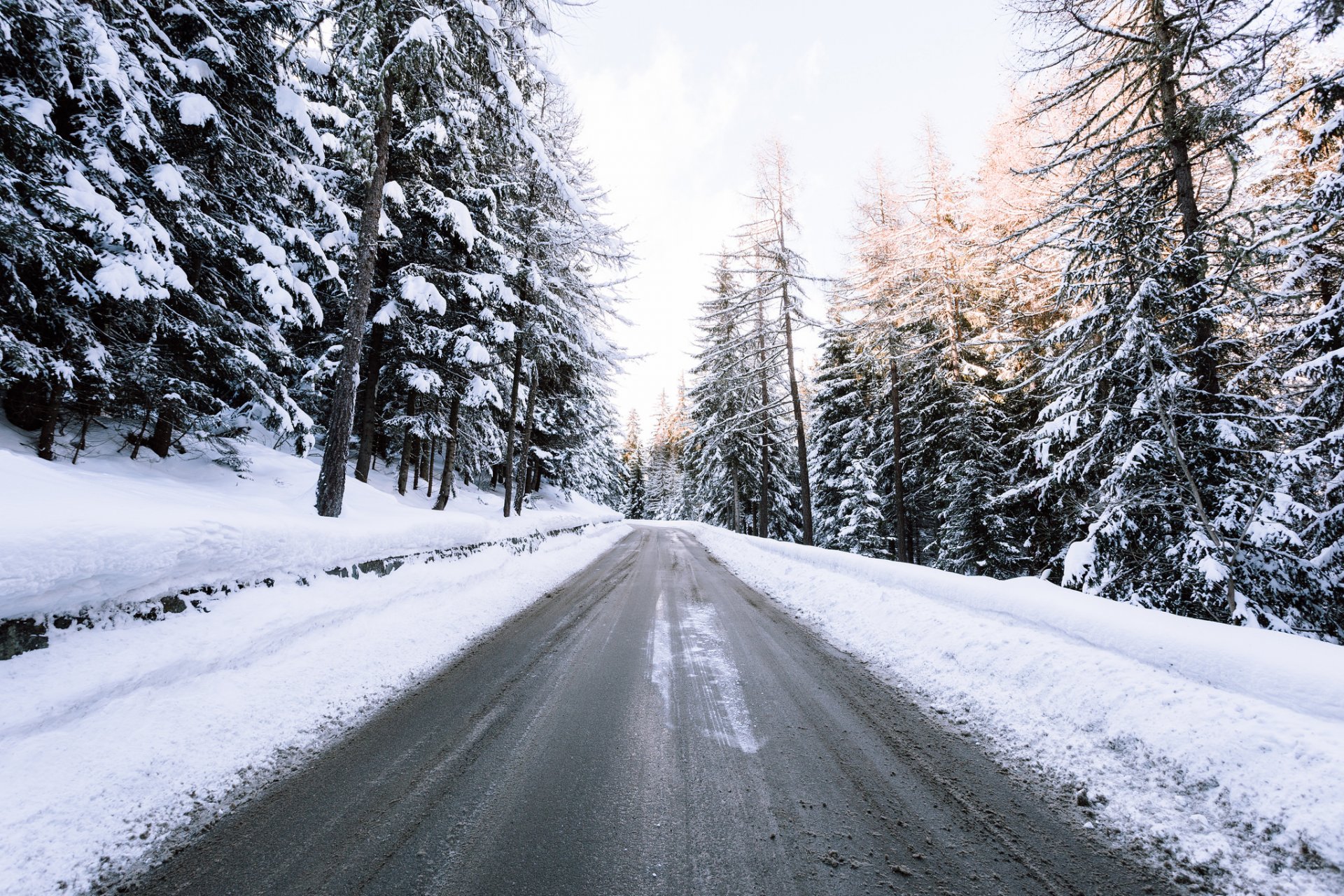 road forest winter