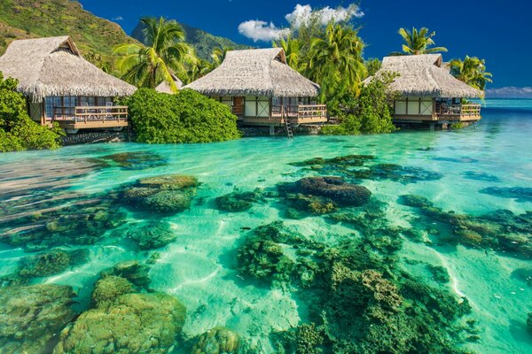 Piedras en el fondo del agua de mar y bungalows