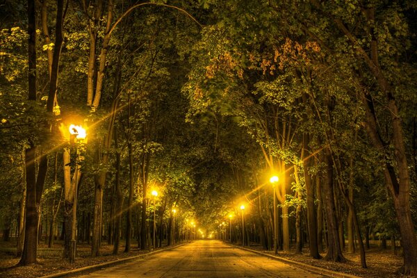 Nachtallee im Park im Licht der Laternen