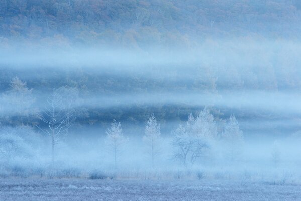 Campo cubierto de nieve, clima brumoso