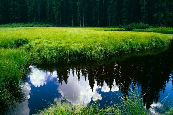 Ein faszinierender See im Wald, lieblos und leer