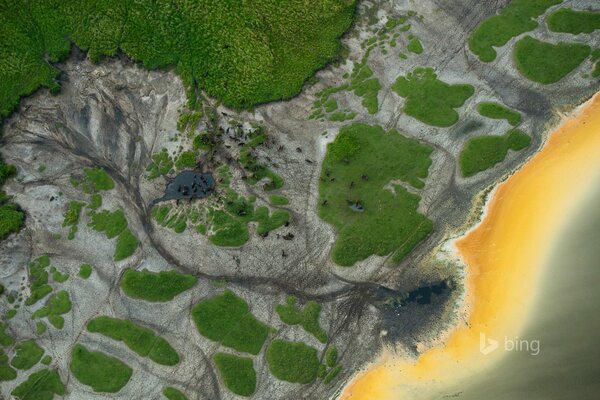 Troupeau de buffles au point d eau en Afrique