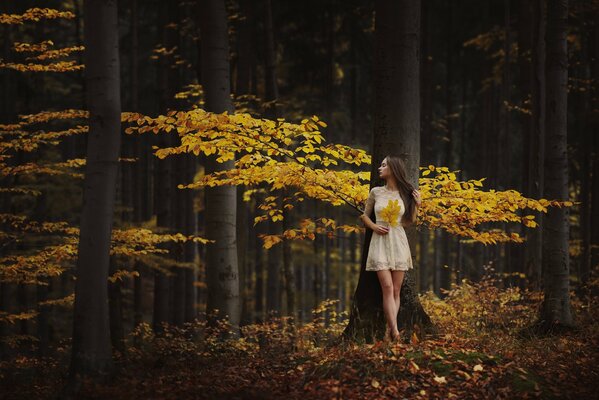 A beautiful girl stands in the autumn forest