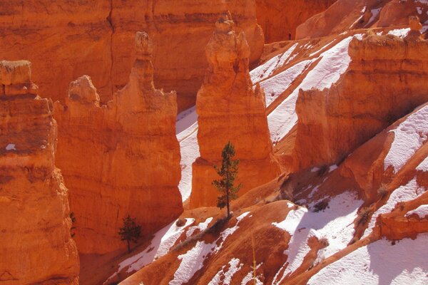 Roches dans la neige dans le parc National