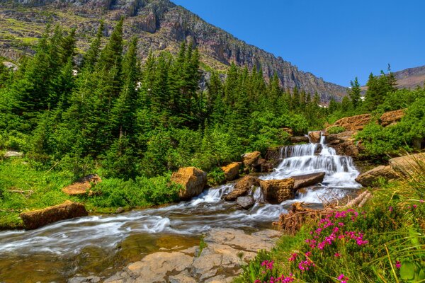 Der Wasserfall fließt aus den Bergen an den Seiten der malerischen Blumen