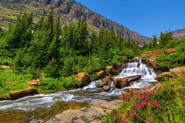 A waterfall flows from the mountains flanked by picturesque flowers