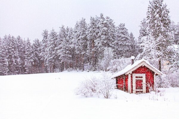 Samotny dom wśród śnieżnego lasu