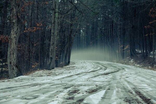 Foggy forest, gloomy autumn, the road to the distance