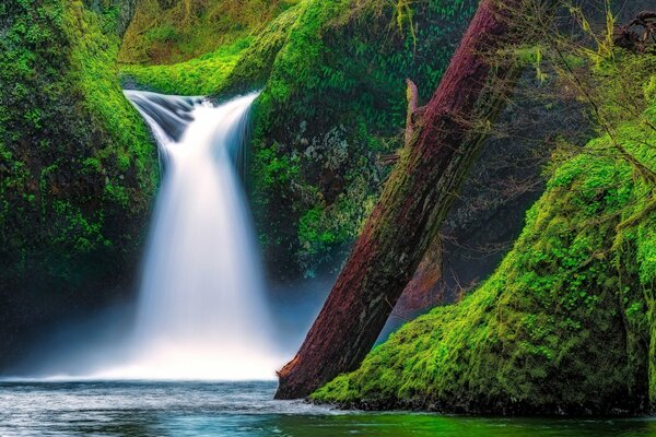 Cascata nella gola del fiume e improvvisamente muschio