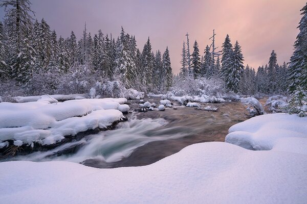 An ice-free stream in the middle of a snowy forest