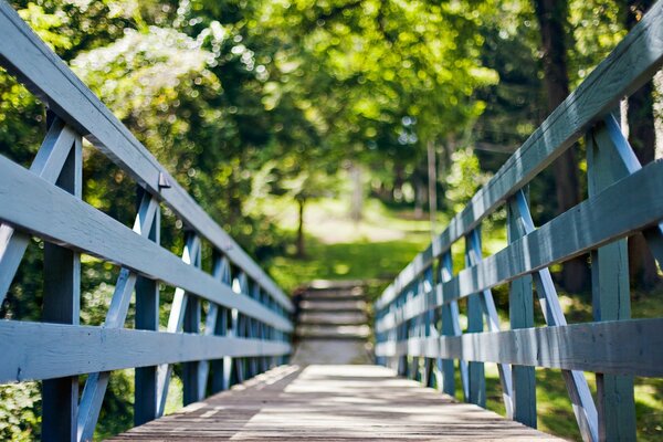 Un puente a la naturaleza, el mejor día de verano