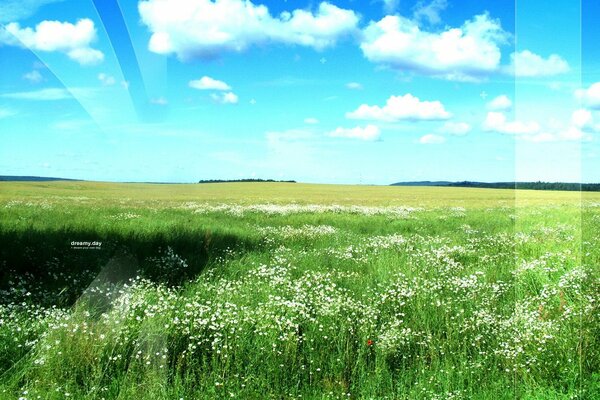 The green field meets the sky