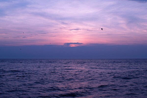 Puesta de sol de color lila, aves en la puesta de sol, el mar en los partos de color púrpura