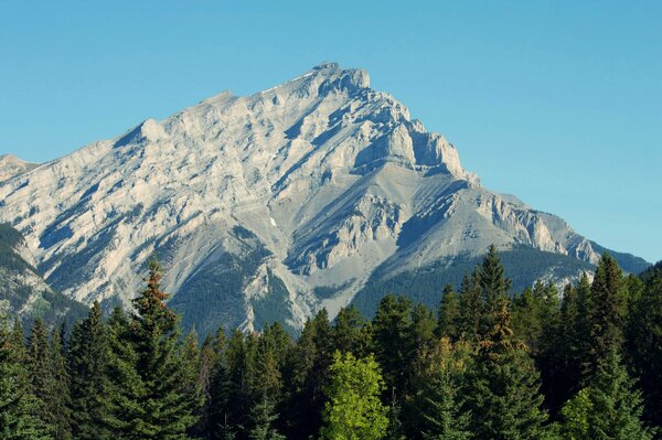 Nationalpark in der Nähe der Berge