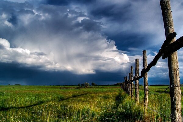 Wooden fence in a summer field