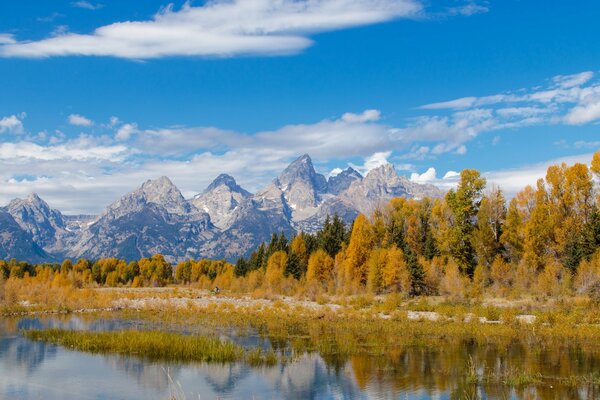 Paisaje del parque nacional de Wyoming en los Estados Unidos