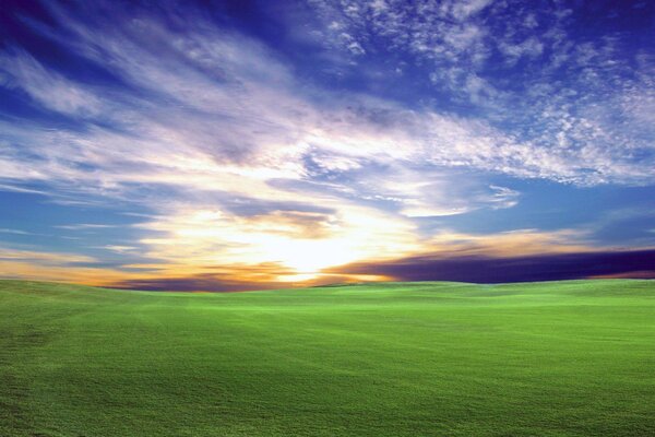 Hermoso campo verde, puesta de sol y cielo azul