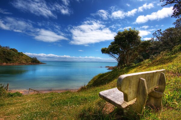 Beautiful landscape with a bench on the shore