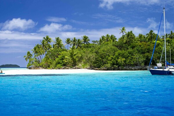 Un yate navega por la playa con palmeras