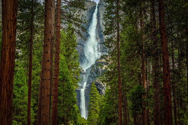 Мощный водопад на фоне скал и деревьев