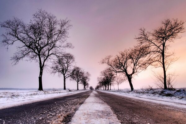 Winterstraße und baumlose Bäume