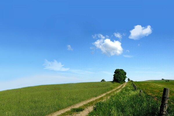 Eine Straße in einem grünen Feld und ein Baum in der Nähe