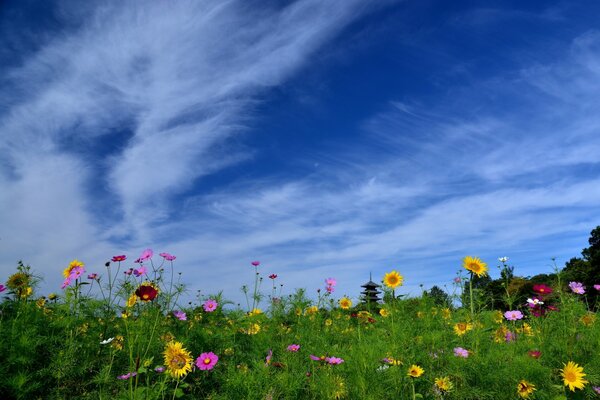 Templo entre flores brillantes y girasoles