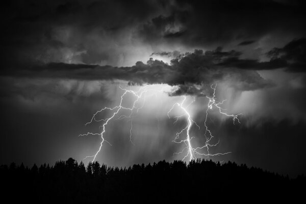 Orages dans la forêt