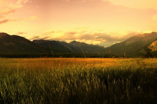 Maravilloso amanecer en las montañas de Altai