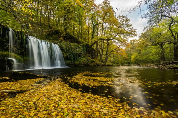 Autunno, cascata-fiume nel fogliame