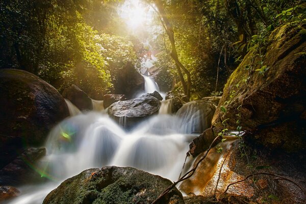 Cascada del bosque en braidlevale de Brasil