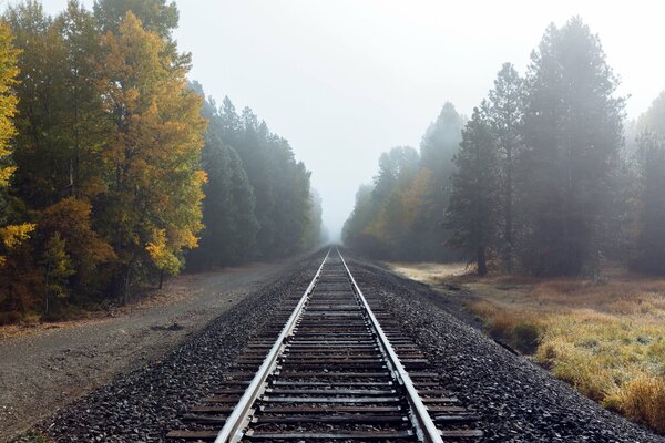 Ferrovia nella nebbia