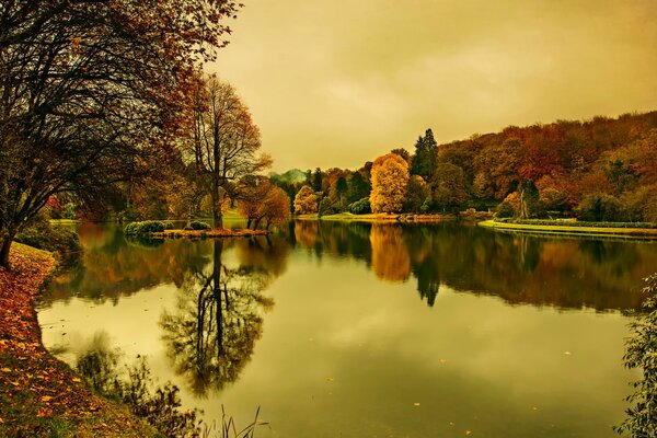 El pintoresco bosque se refleja en el lago