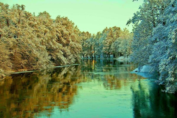 Река и лес в утренней инеи