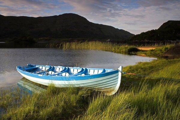 Barco blanco en la orilla del lago del bosque