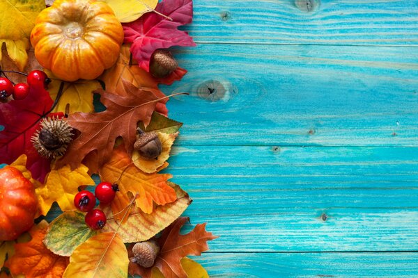 Herbstlaub. Herbst-Stillleben. Blauer Hintergrund. Mini-Kürbis