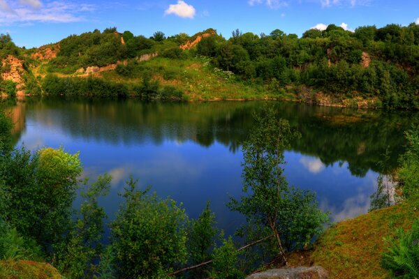 Increíble lago en medio de un bosque verde