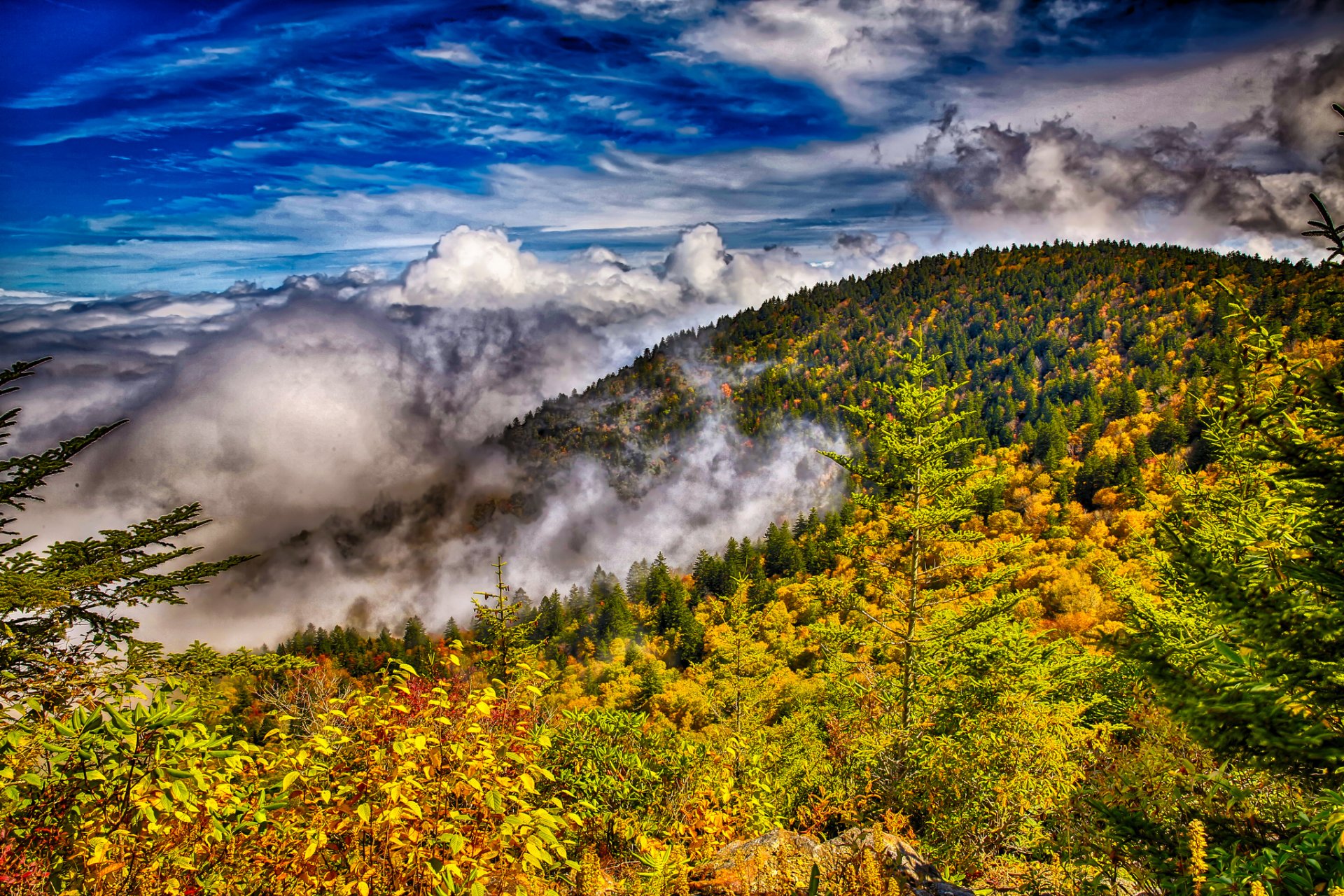 himmel wolken berge wald bäume herbst