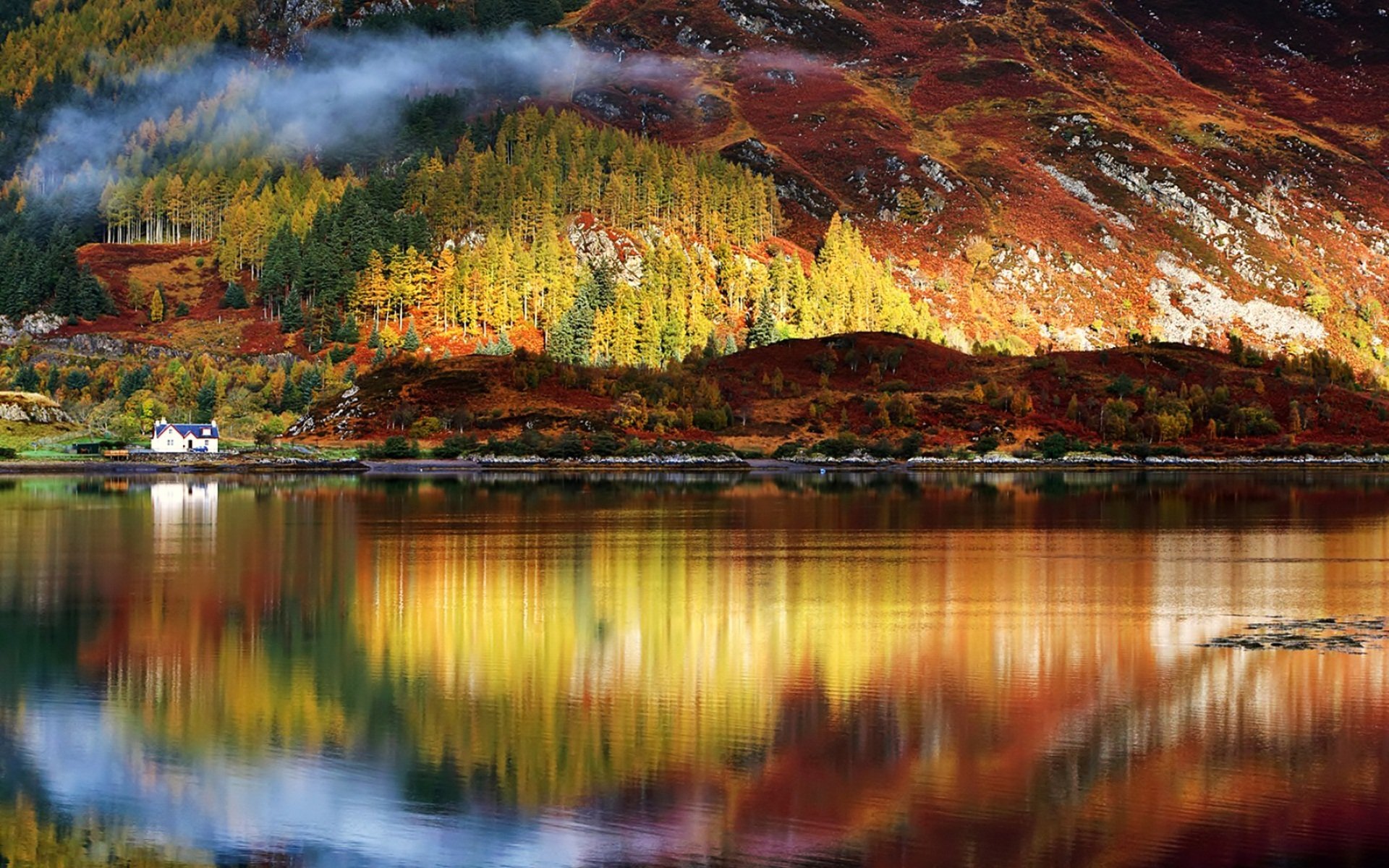 eau réflexion rayons du soleil forêt