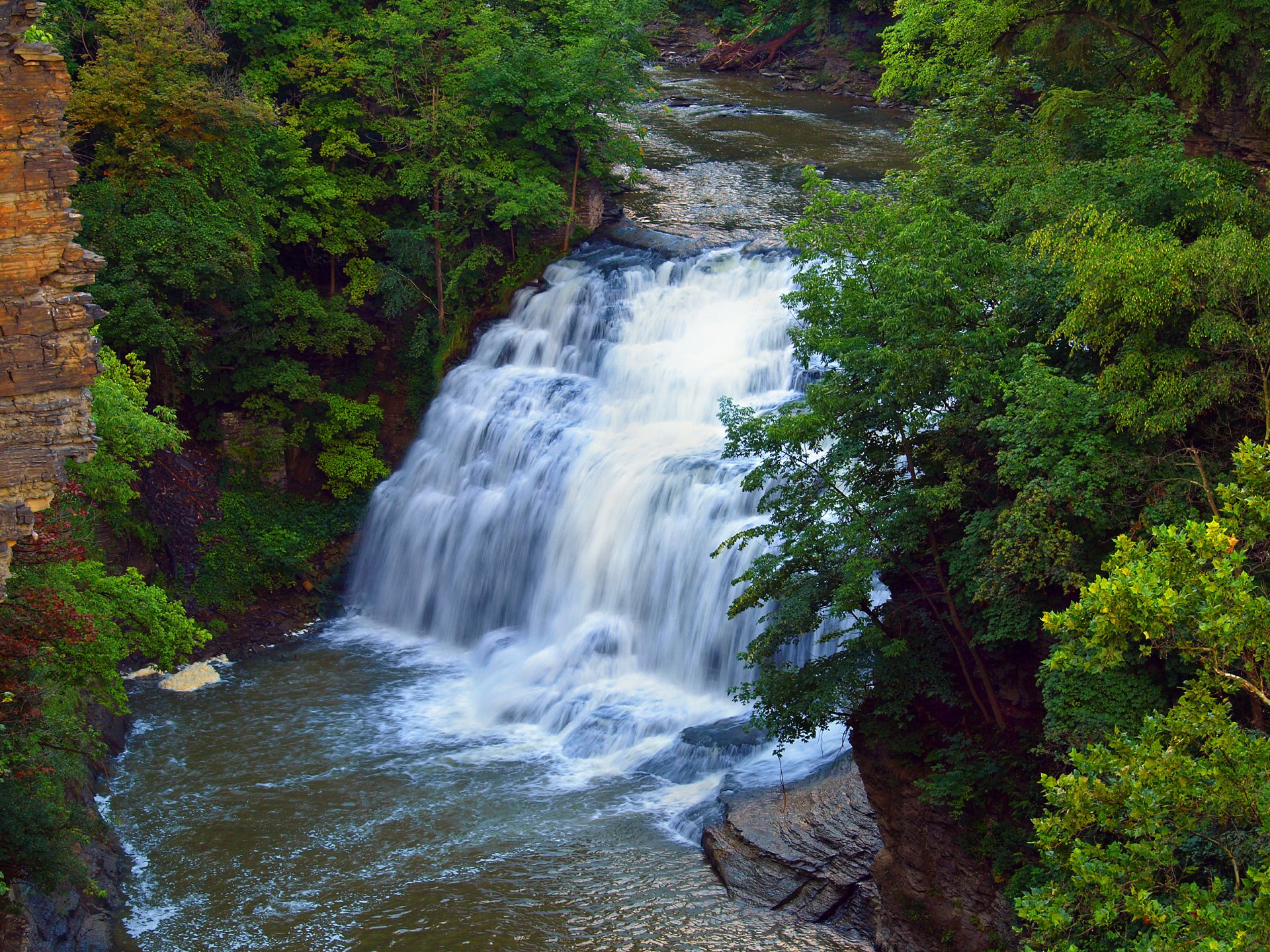 rivière cascade rochers arbres forêt