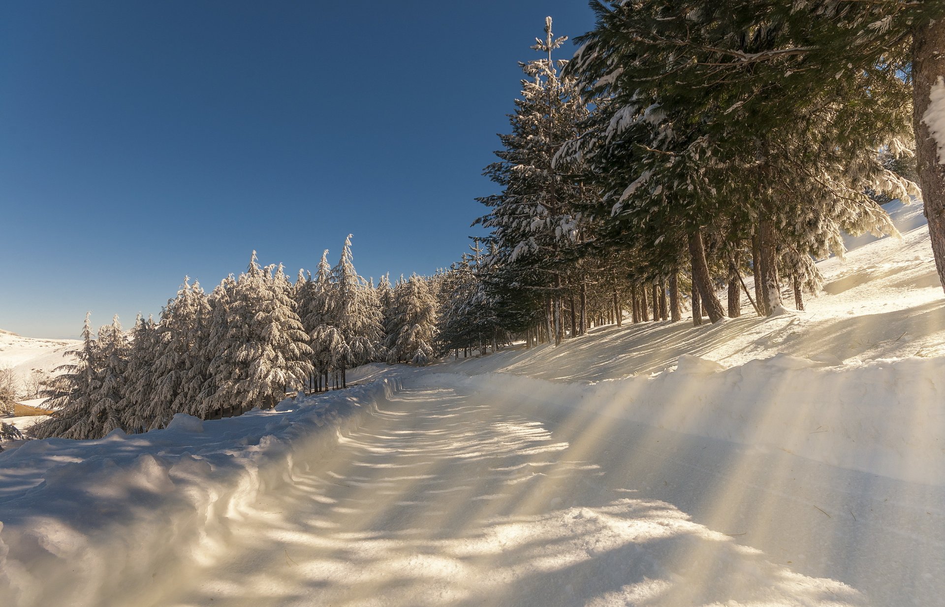 zima poranek droga śnieg krajobraz natura