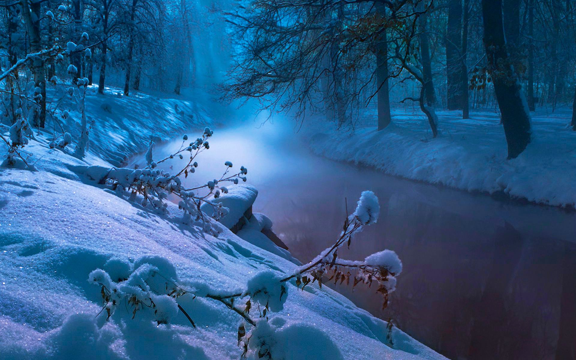 río arroyo invierno árboles bosque nieve