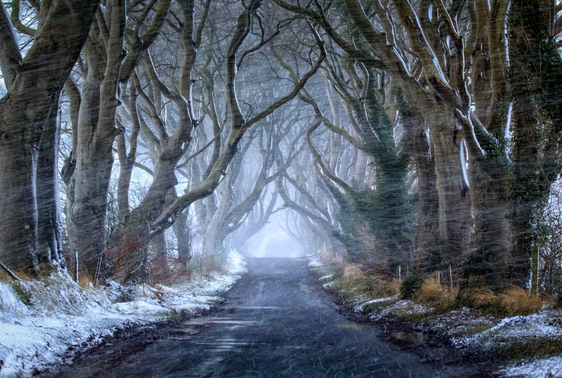 herbst straße schnee natur