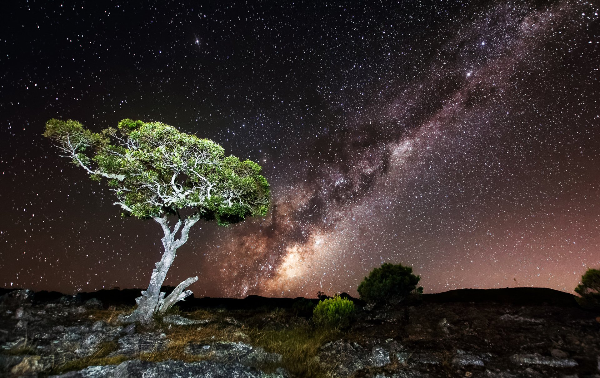 nacht himmel sterne felsen baum licht