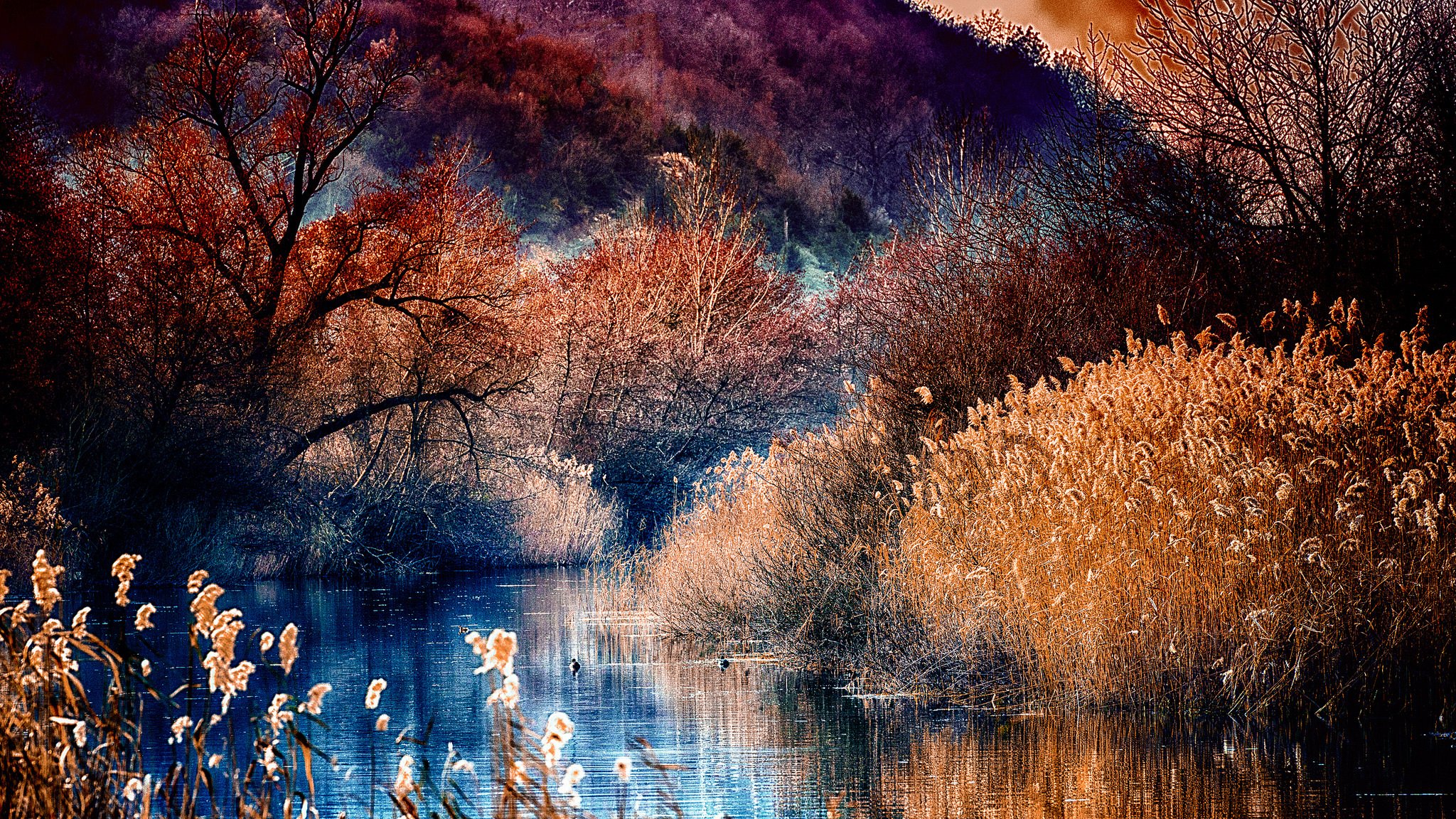 foresta fiume alberi montagne autunno lago