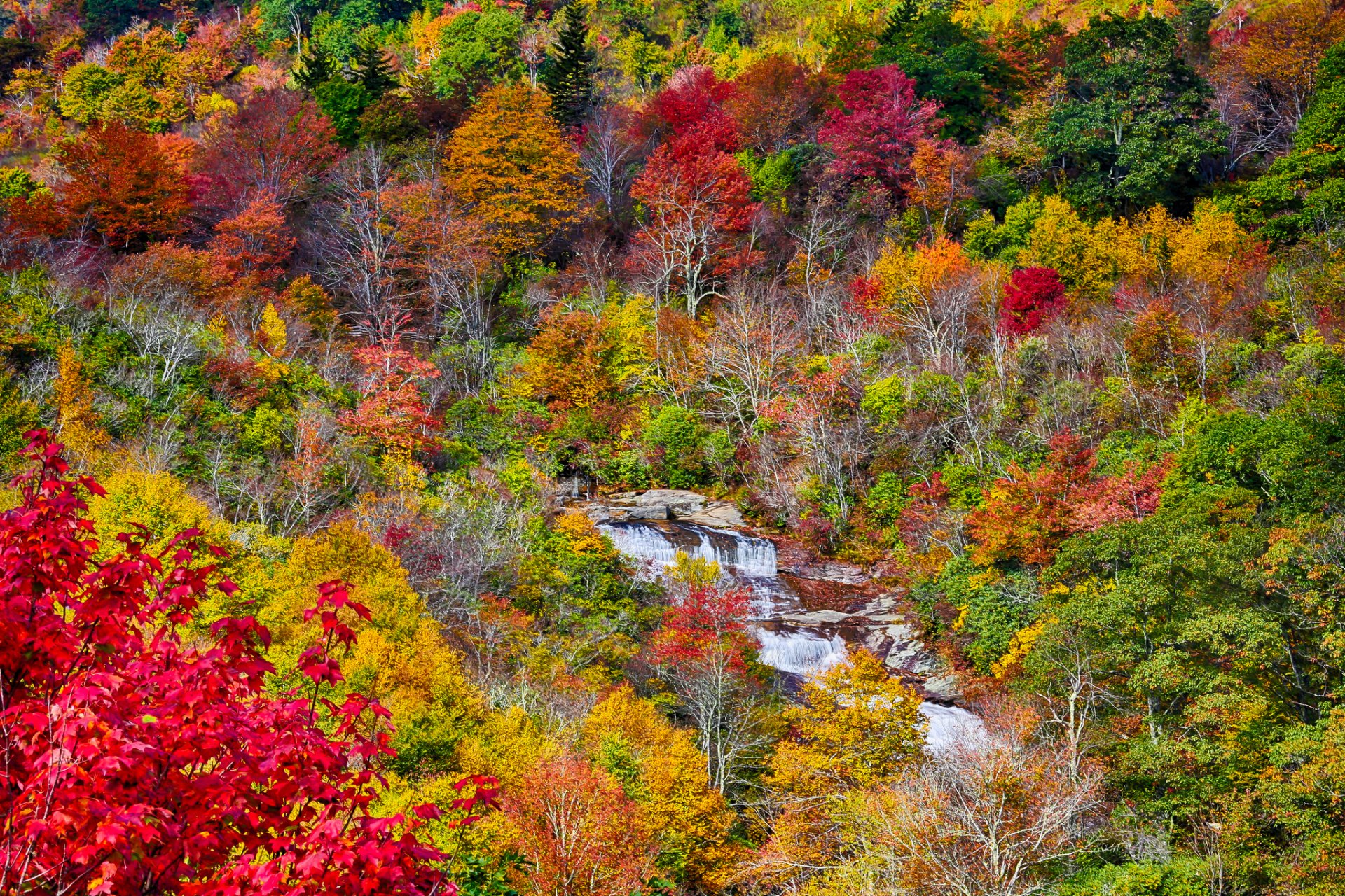 berge wald fluss bäume blätter herbst