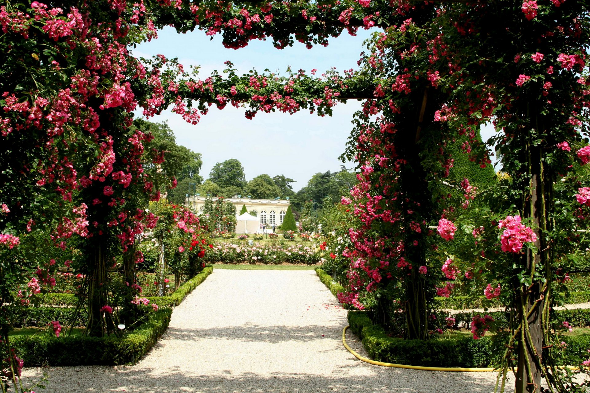 francia bagatelle roseraie jardín camino césped arbustos flores rosas diseño