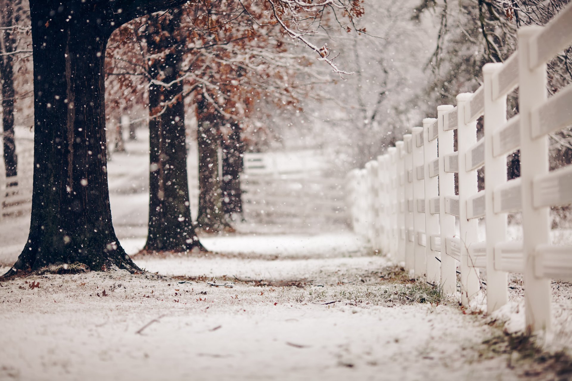 strada recinzione inverno