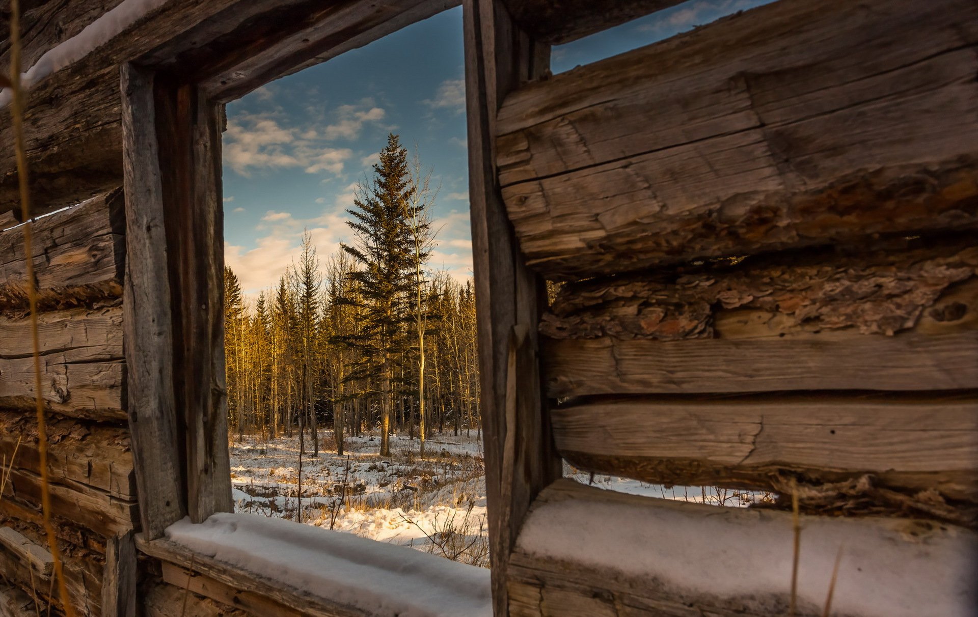 house window nature