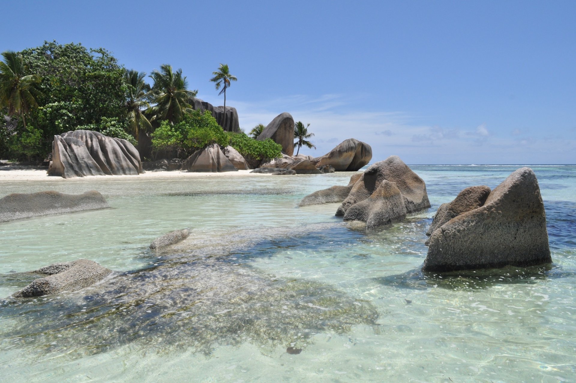 tropici mare acqua blu costa sabbia palme cespugli pietre